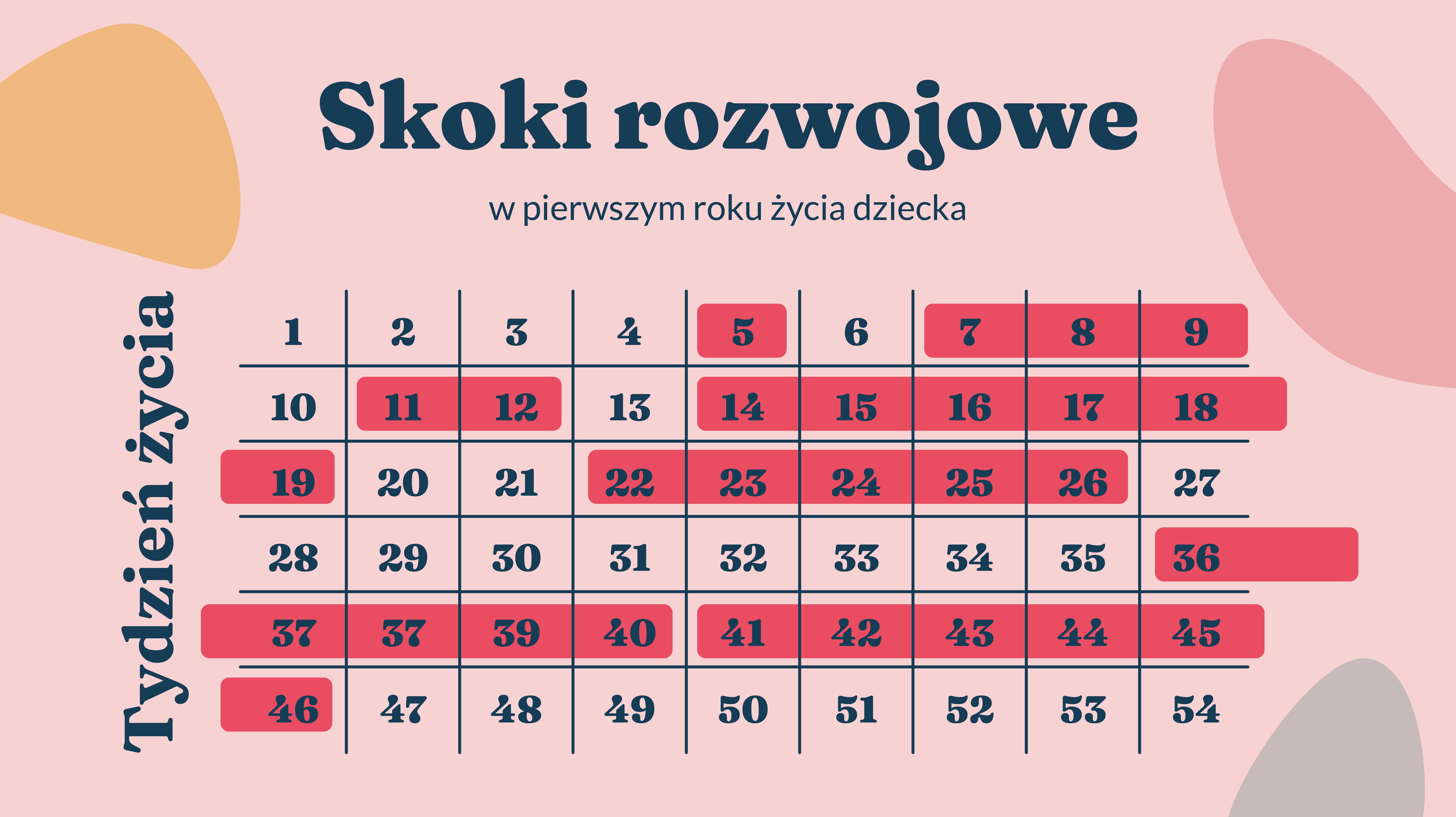 Skoki rozwojowe w 1. roku życia – infografika