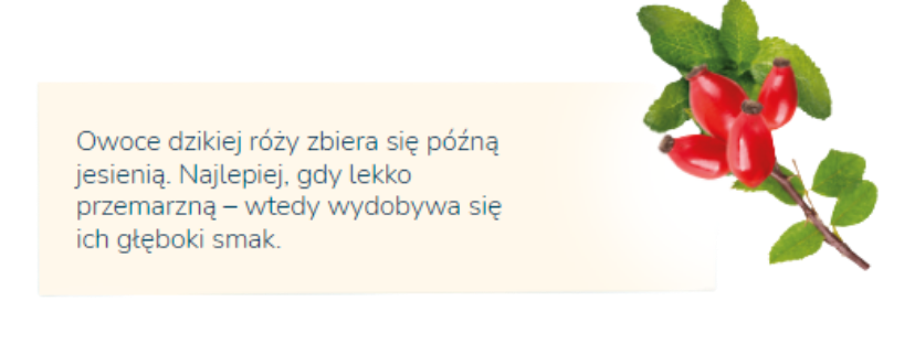 truskawka_new