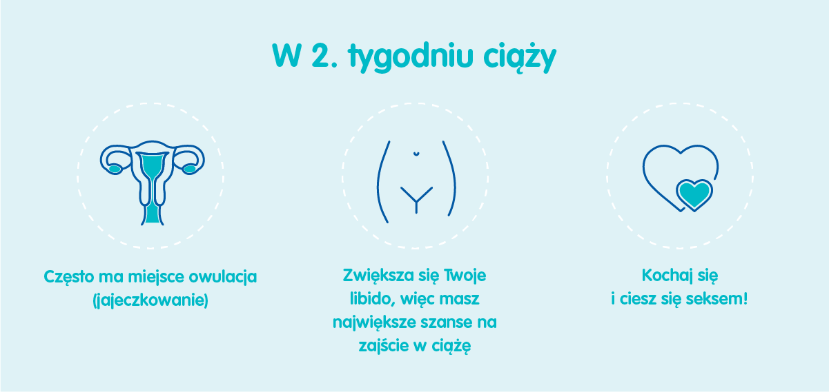 2 tydzień ciąży