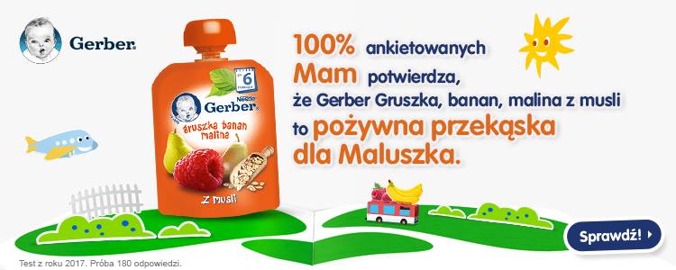 Get to know the opinions of moms about the new Gerber muesli desserts