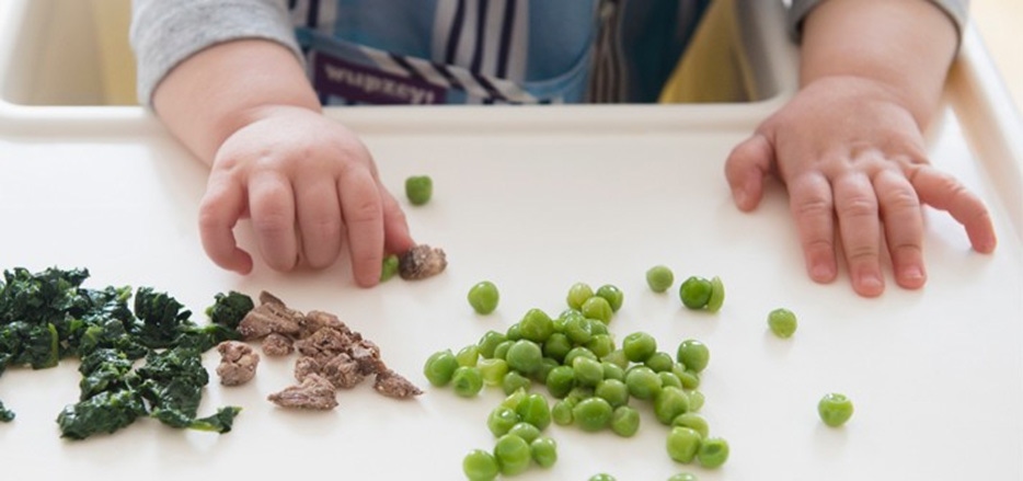 Baby having a meal greens meat beans