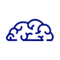brain