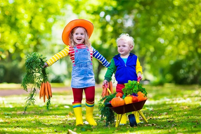 the children play outside