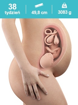 baby in the 38th week of pregnancy