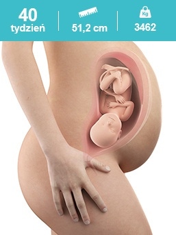 baby in the 40th week of pregnancy