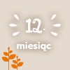 12 miesiąc