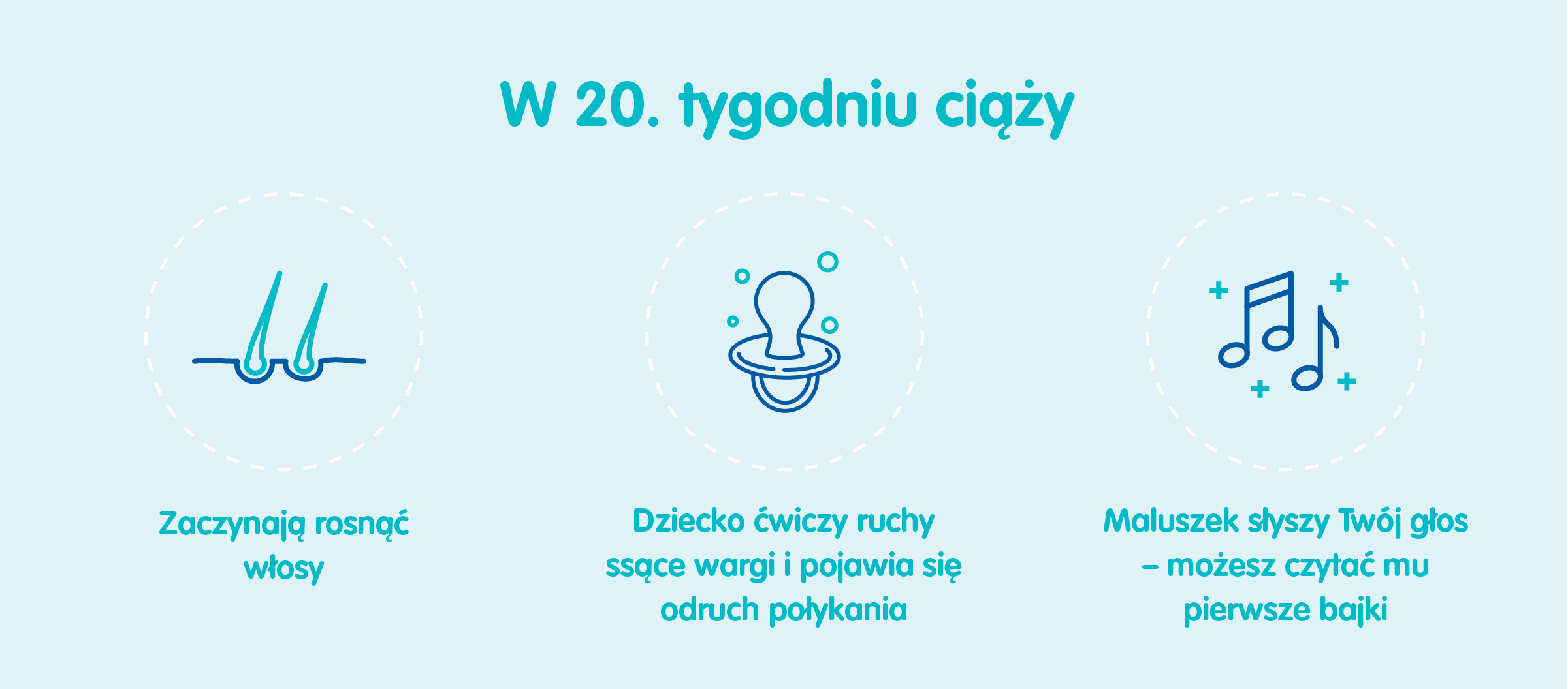 Płód w 20 tygodniu ciąży