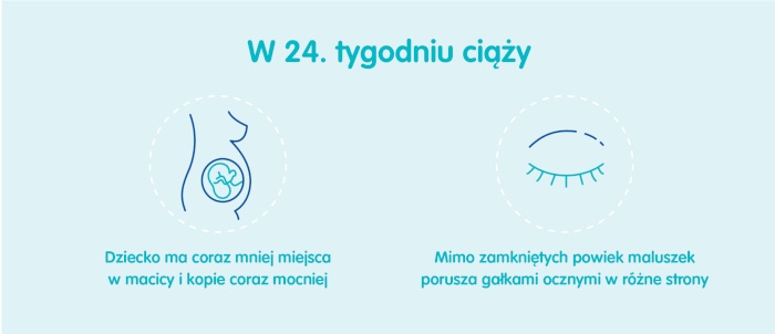 Płód w 24 tygodniu ciąży