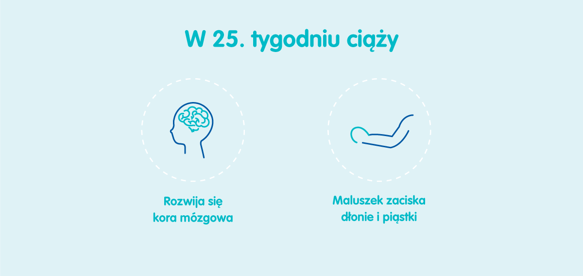 Płód w 25 tygodniu ciąży