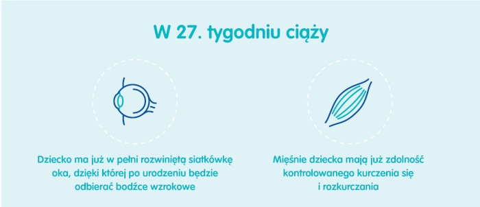 Płód w 27 tygodniu ciąży