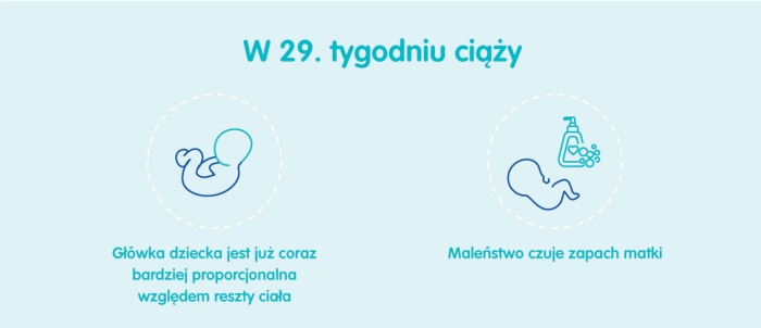 Płód w 29 tygodniu ciąży