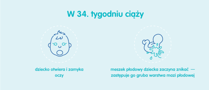 Płód w 34 tygodniu ciąży