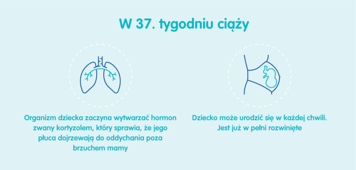 Płód w 37 tygodniu ciąży