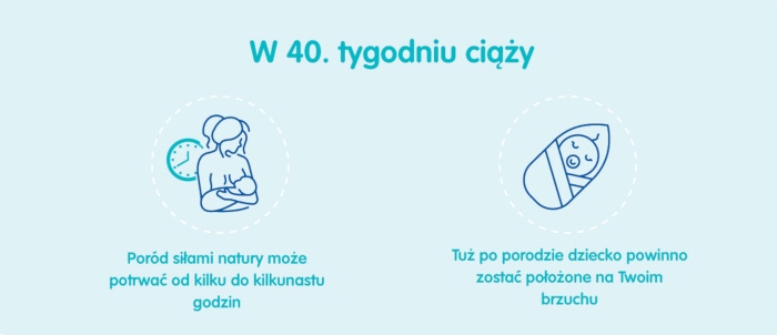 Płód w 40 tygodniu ciąży