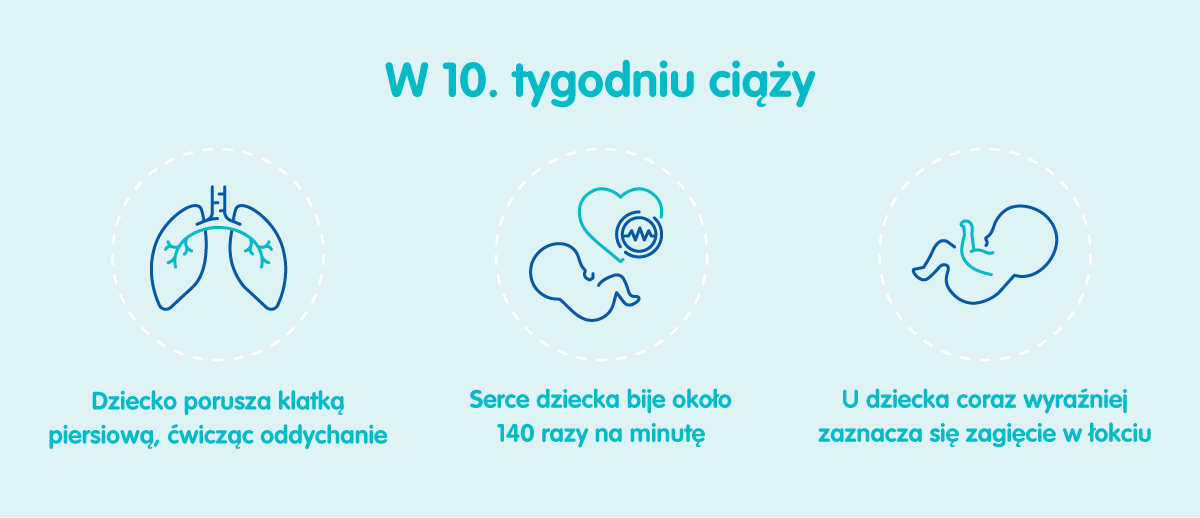 Płód w 10 tygodniu ciąży