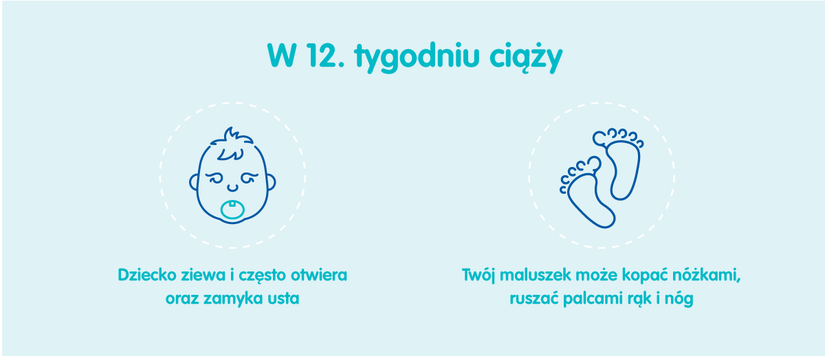 Płód w 12 tygodniu ciąży