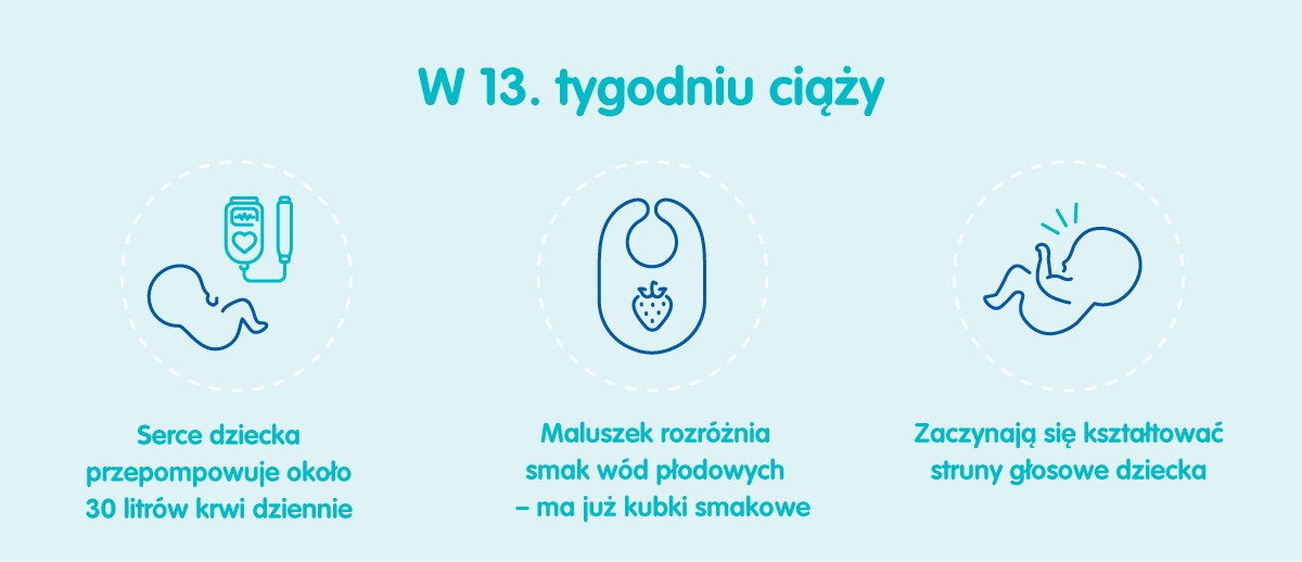 Płód w 13 tygodniu ciąży