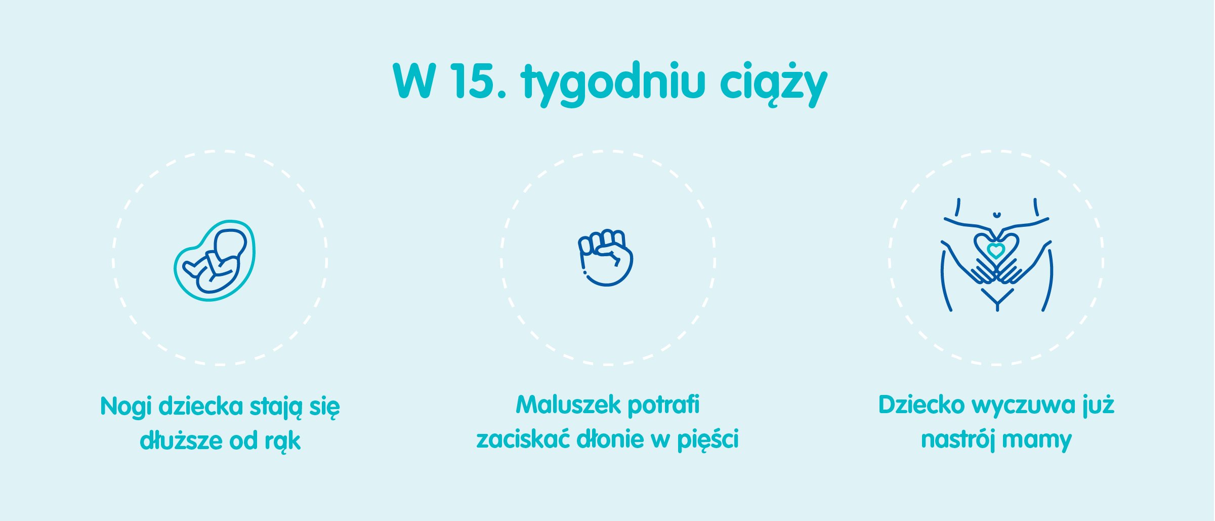 Płód w 15 tygodniu ciąży