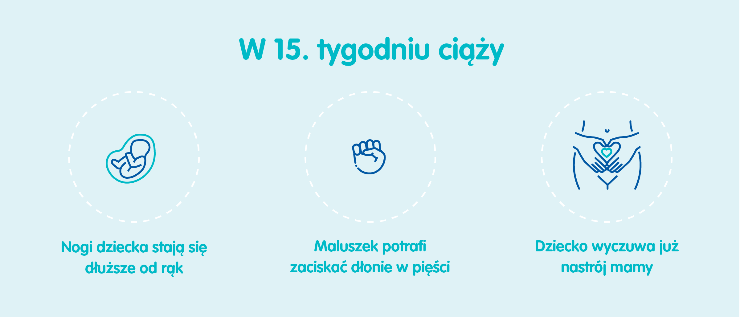 Płód w 15. tygodniu ciąży