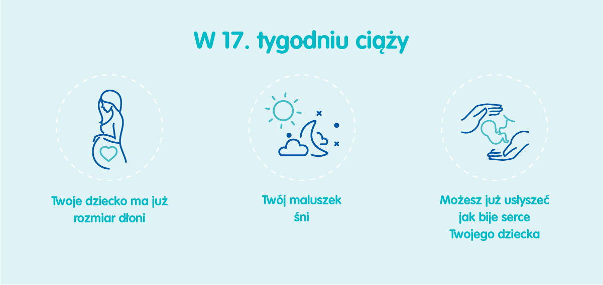 Płód w 17 tygodniu ciąży