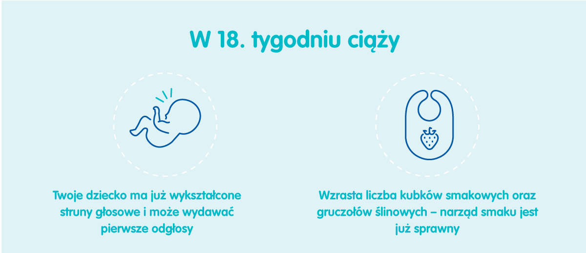 Płód w 18 tygodniu ciąży