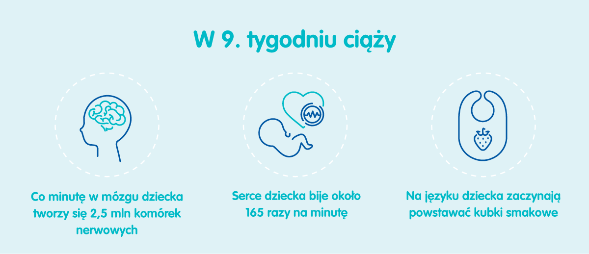 Płód w 9 tygodniu ciąży