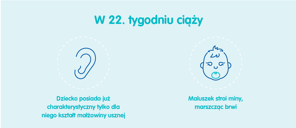 Płód w 22 tygodniu ciąży