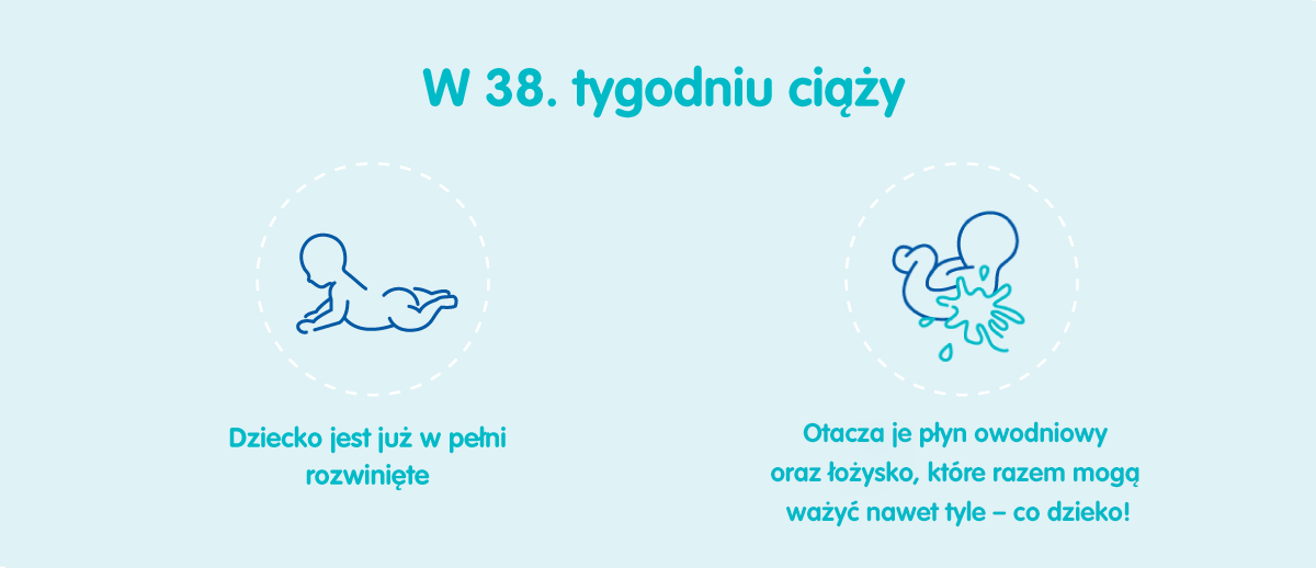 Płód w 38 tygodniu ciąży