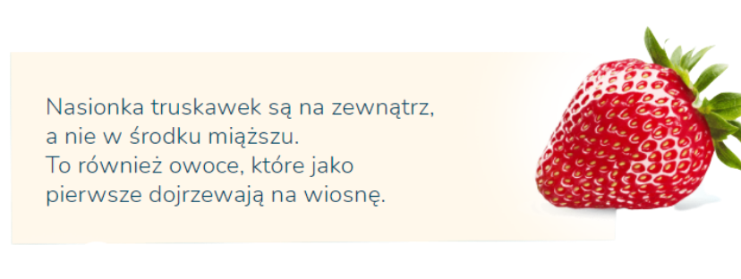 trustiawka