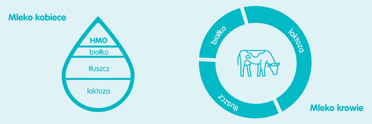 zawartość laktozy w mleku matki i krowim