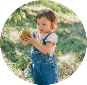 Mała dziewczynka zbiera gruszki
