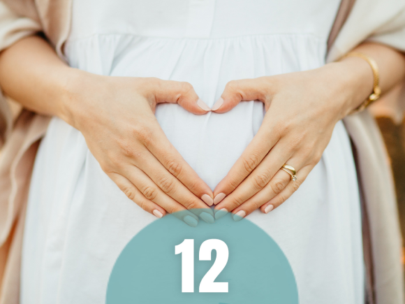 12. tydzień ciąży