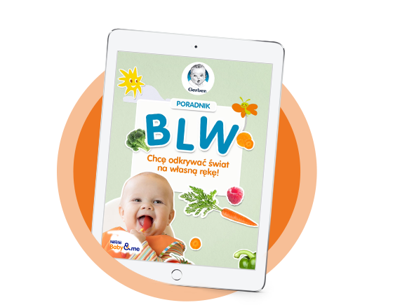 e-book BLW
