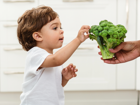 Źródła żelaza w diecie dziecka