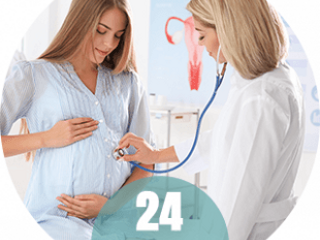 Badania w 24 tygodniu ciąży
