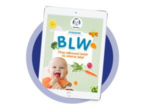 Ebook BLW