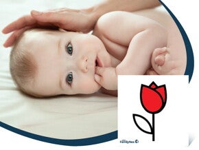 Karta kontrastowa kwiatuszek