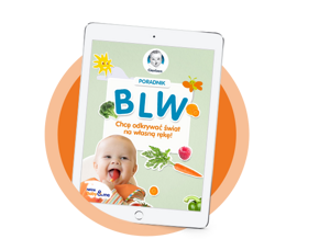 e-book BLW