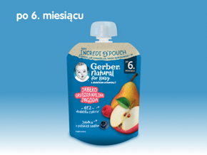 Gerber Deserek jabłko, gruszka, malina, jagoda
