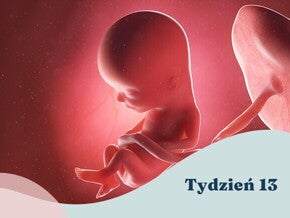 13. tydzień ciąży
