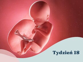 18. tydzień ciąży