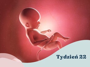 22. tydzień ciąży