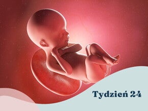 24. tydzień ciąży