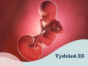 25. tydzień ciąży