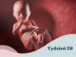 28. tydzień ciąży