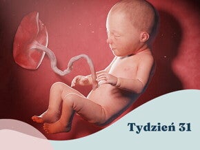 31. tydzień ciąży