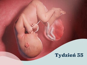 35. tydzień ciąży 35. tydzień ciąży
