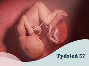 37. tydzień ciąży