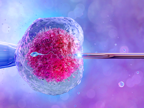 Zapłodnienie in vitro widziane w dużym powiększeniu pod mikroskopem