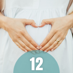 12. tydzień ciąży